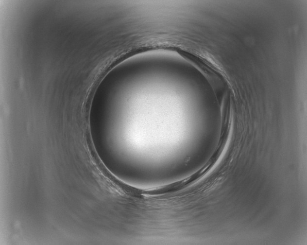 X0000067930673200604131423