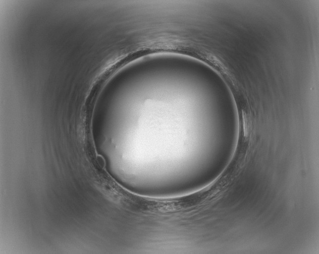 X0000067930675200604131423