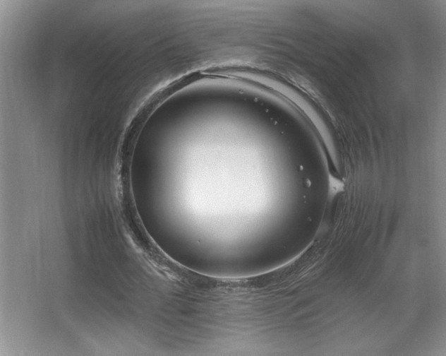 X0000067930676200604131423