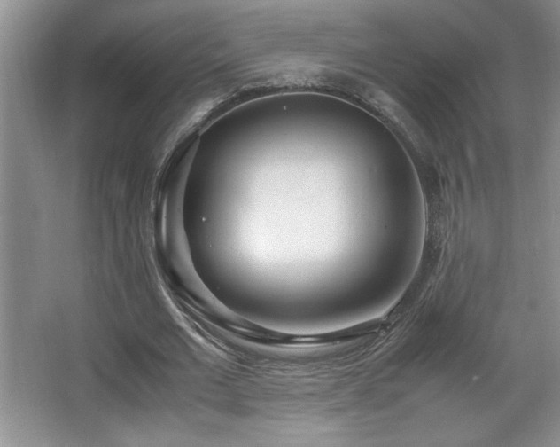 X0000067930677200604131423