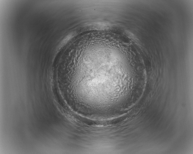X0000067930679200604131423