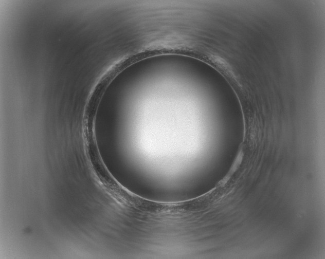 X0000067930680200604131423