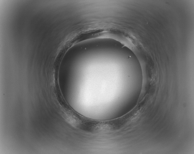 X0000067930685200604131423