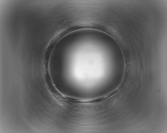 X0000067930688200604131423