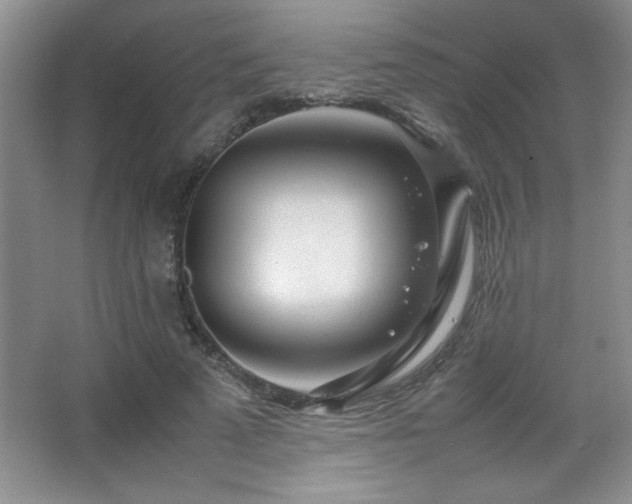 X0000067930689200604131423
