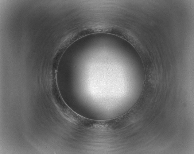 X0000067930690200604131423