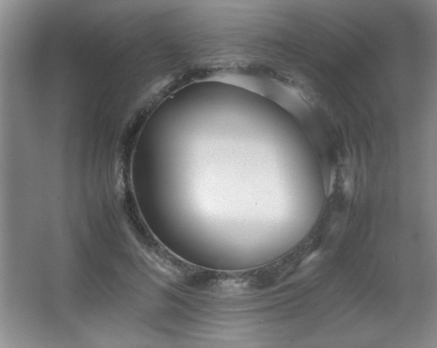 X0000067930692200604131423