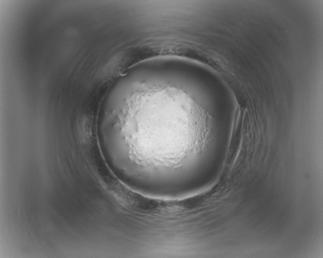 X0000067930695200604131423