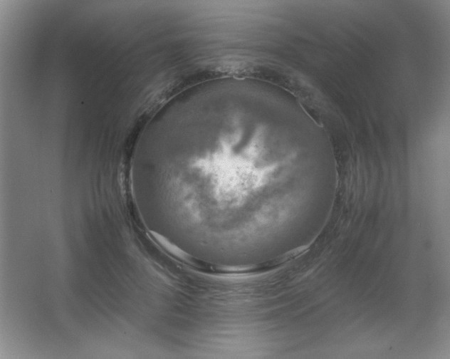 X0000067930696200604131423