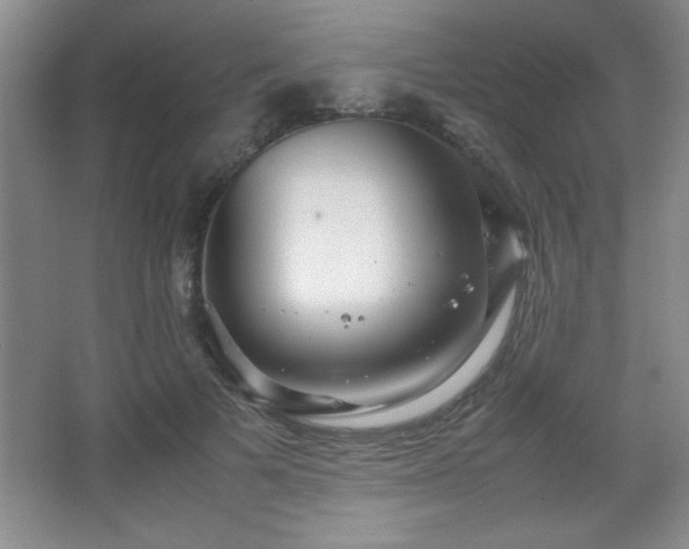 X0000067930697200604131423