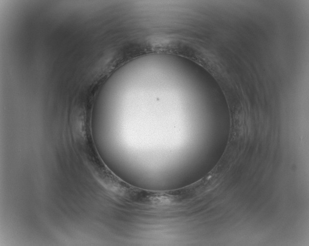 X0000067930698200604131423
