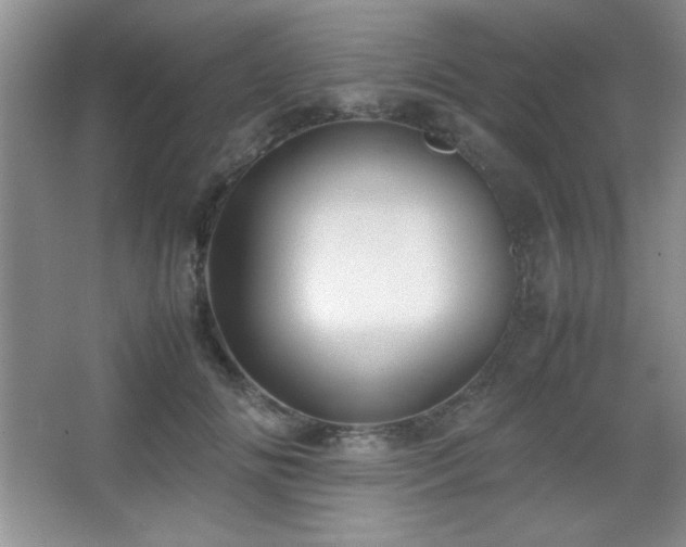 X0000067930702200604131423