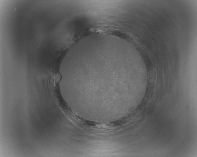 X0000067930703200604131423