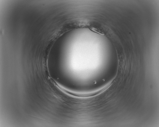 X0000067930704200604131423