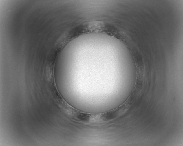 X0000067930705200604131423