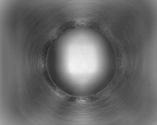 X0000067930706200604131423