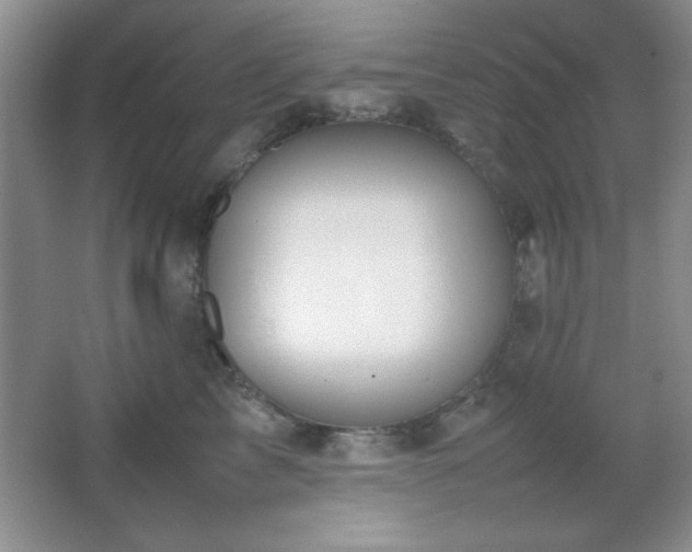 X0000067930713200604131423