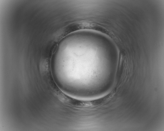 X0000067930715200604131423