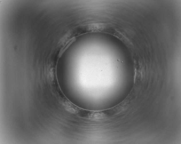 X0000067930716200604131423