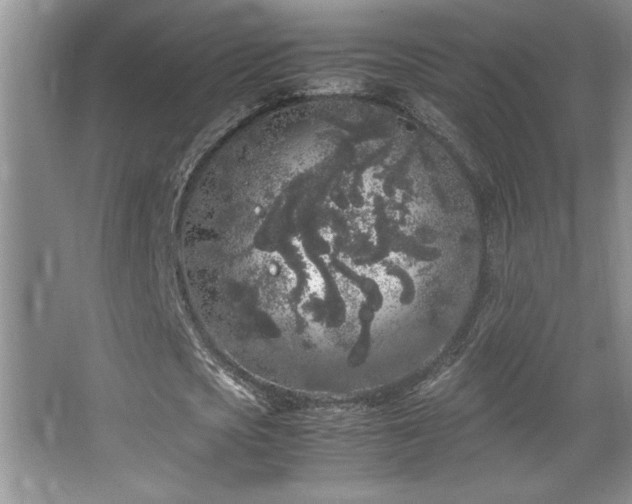 X0000067930721200604131422
