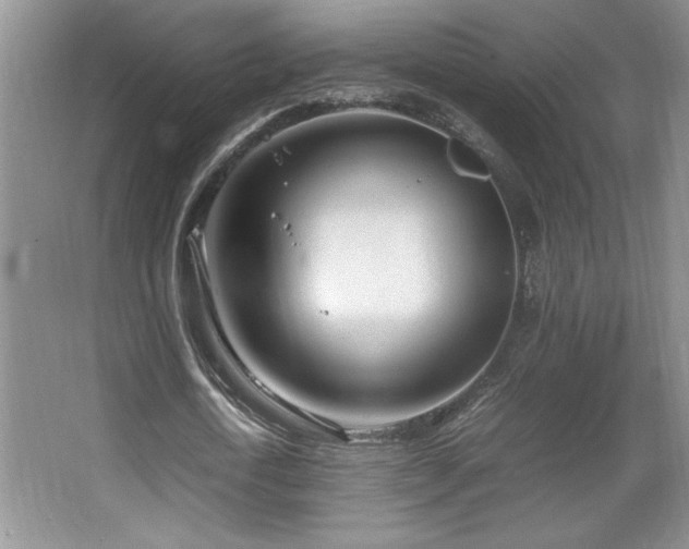X0000067930722200604131422