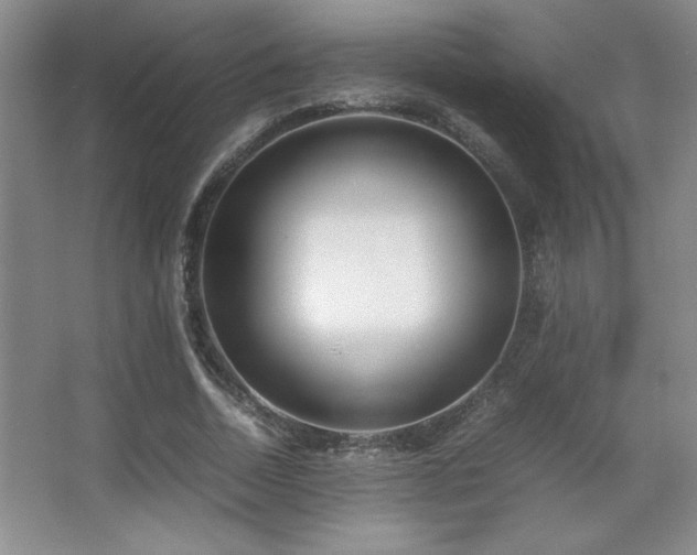 X0000067930730200604131422
