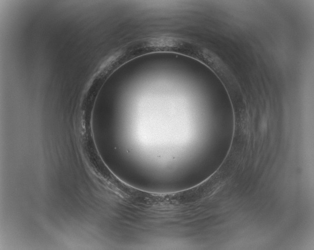 X0000067930731200604131422