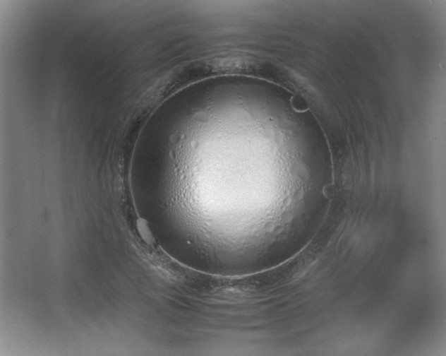 X0000067930737200604131422
