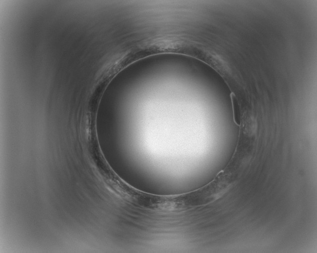 X0000067930740200604131422