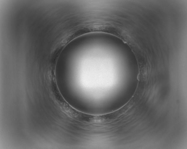 X0000067930746200604131422