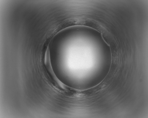 X0000067930748200604131422