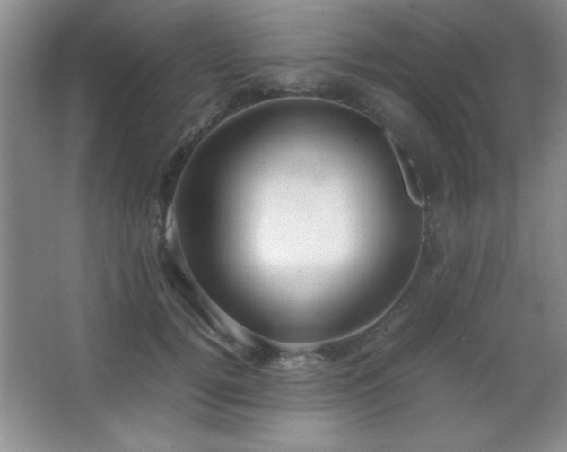 X0000067930752200604131422