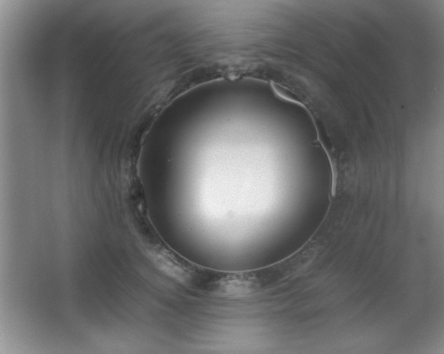 X0000067930756200604131422