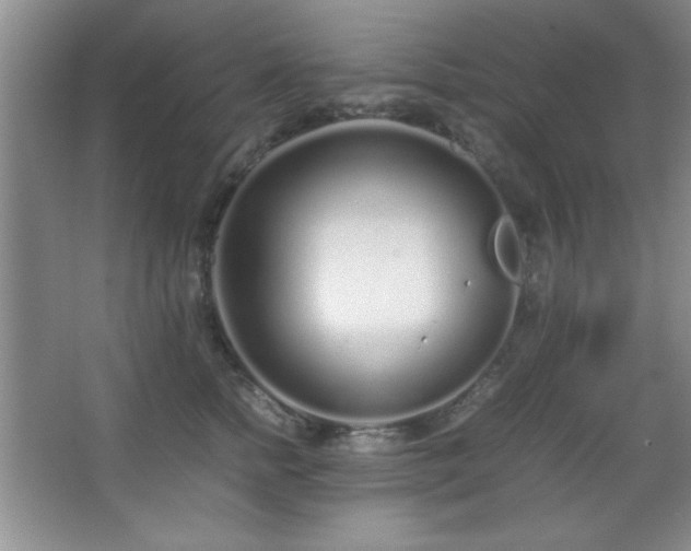 X0000067930758200604131422