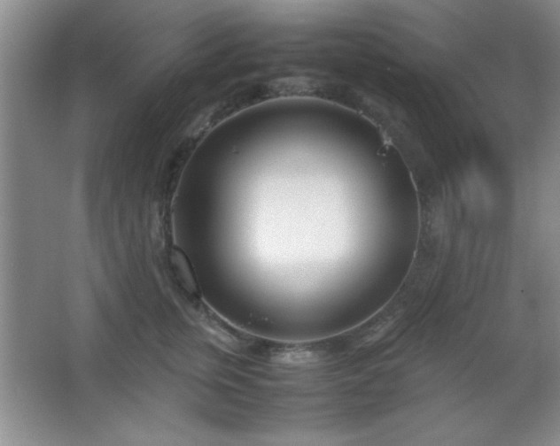 X0000067930759200604131422
