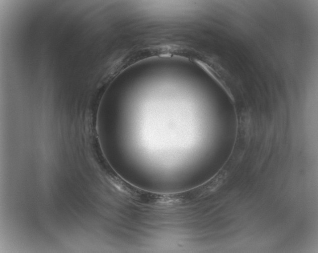 X0000067930760200604131422