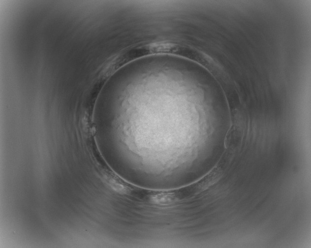 X0000067930761200604131422