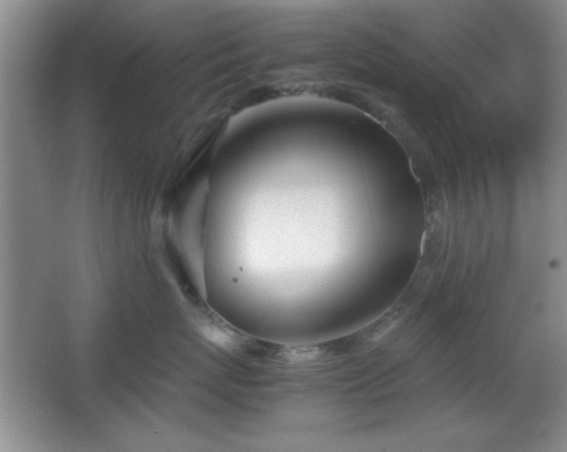 X0000067930767200604131422