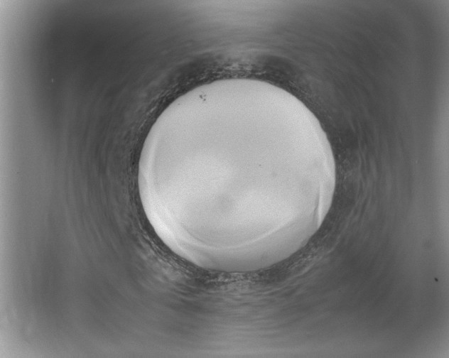 X0000067930769200604131422