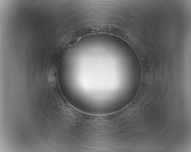 X0000067930770200604131422