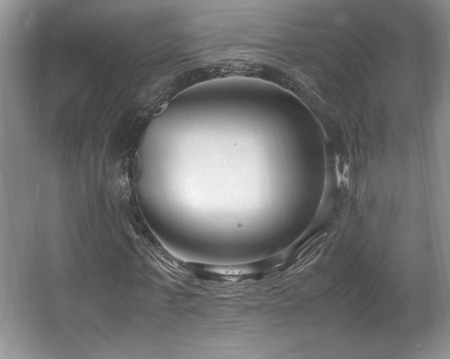 X0000067930771200604131422