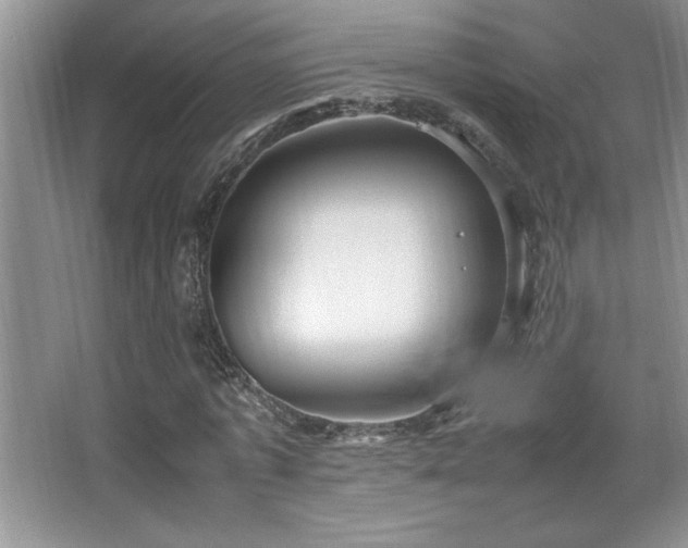 X0000067930773200604131422