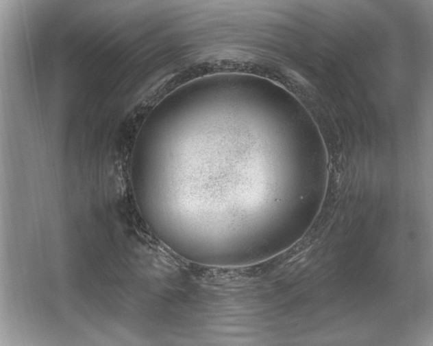 X0000067930774200604131422