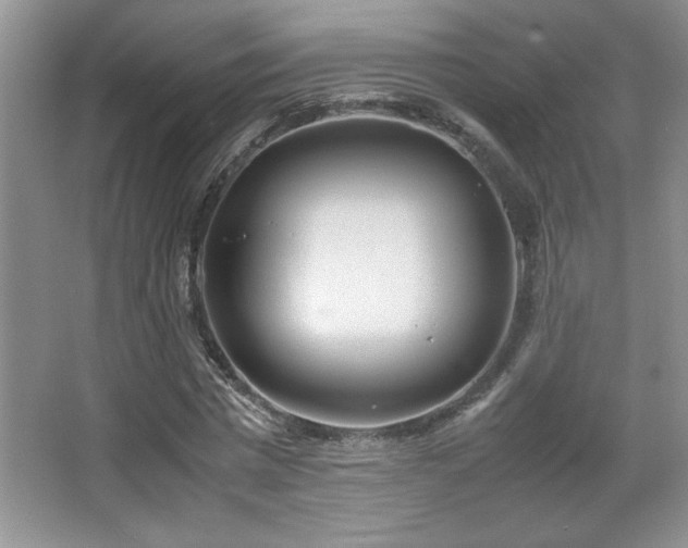 X0000067930777200604131421