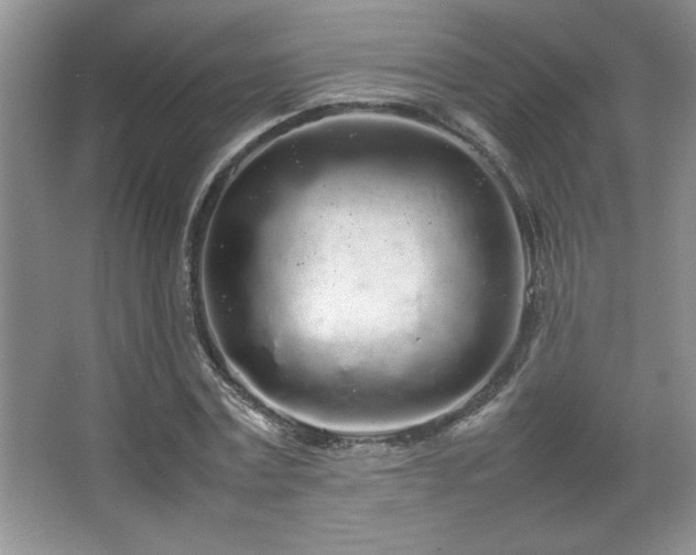 X0000067930779200604131421