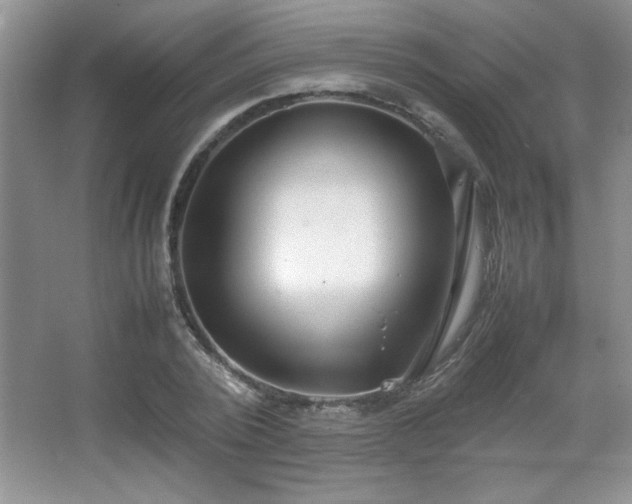 X0000067930784200604131421