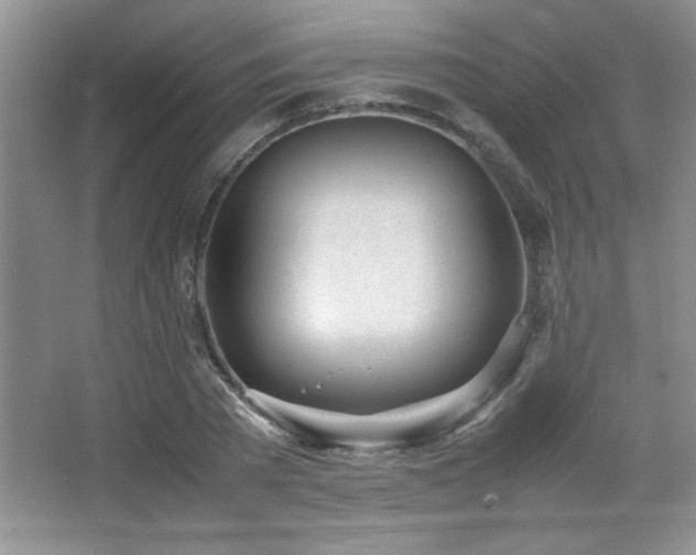 X0000067930785200604131421