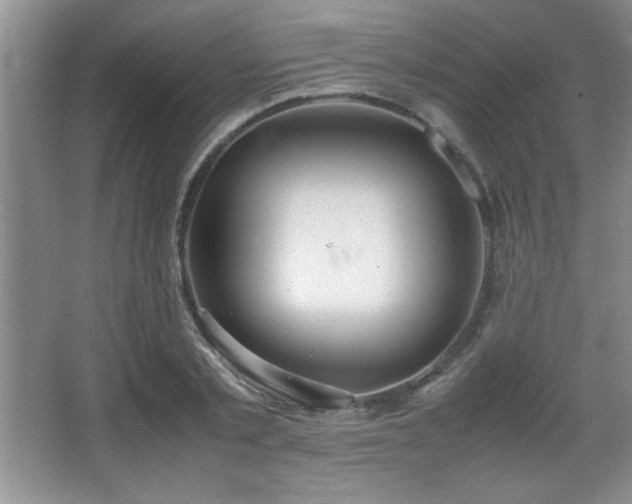 X0000067930789200604131421