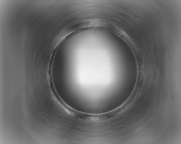 X0000067930794200604131421