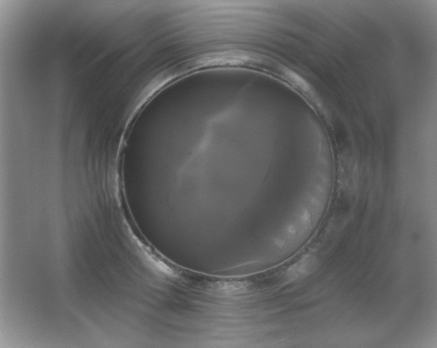 X0000067930802200604131421
